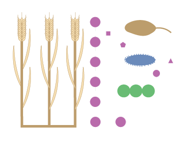 Schroeder Laboratory