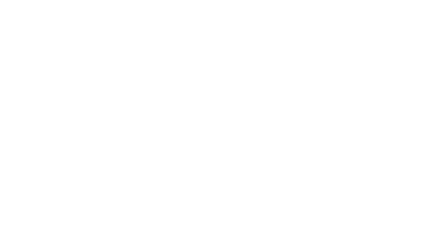 The Treehouse Hotel