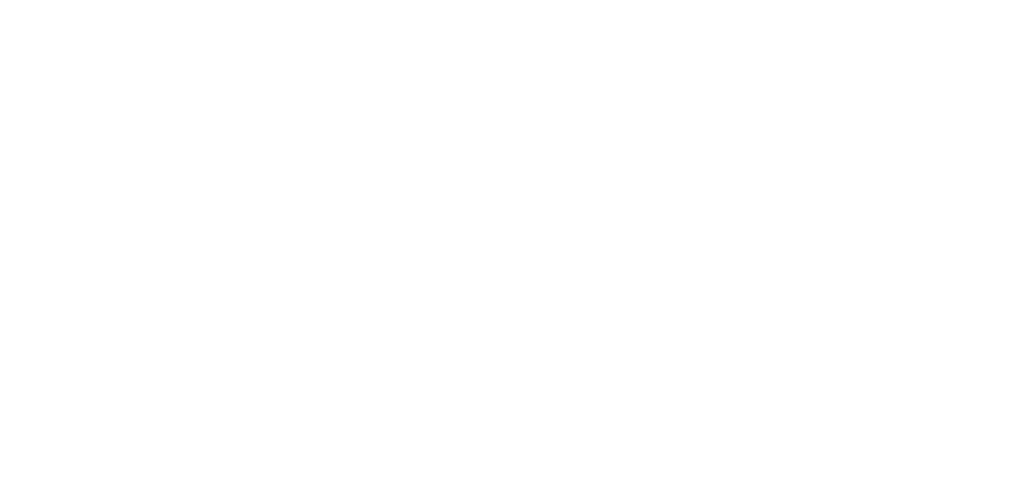 VMG