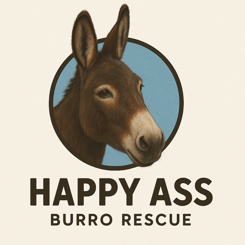 Happy Ass Burro Rescue
