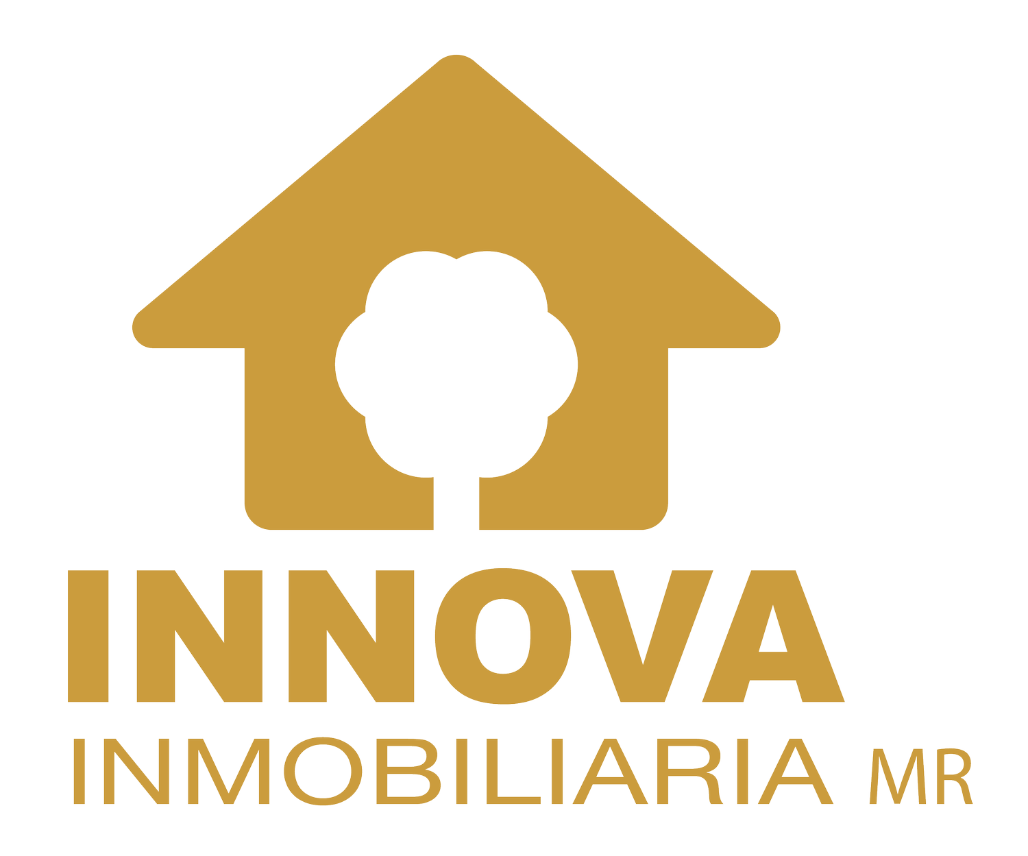 Grupo Innova ®