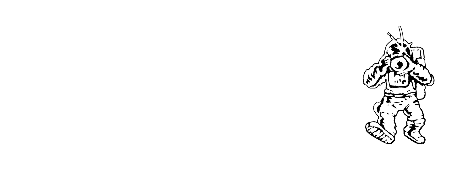 Team Apollo