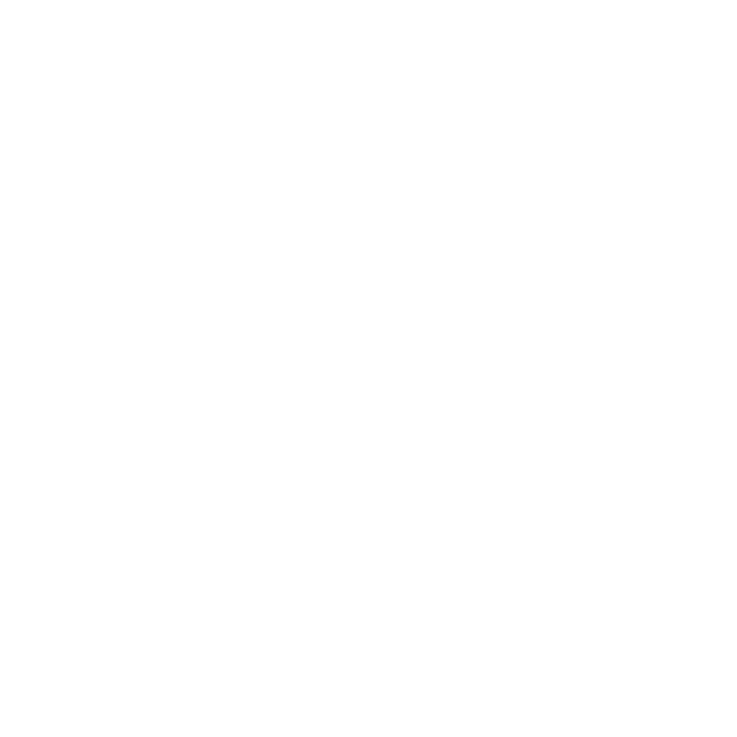 SDG Advisory Group