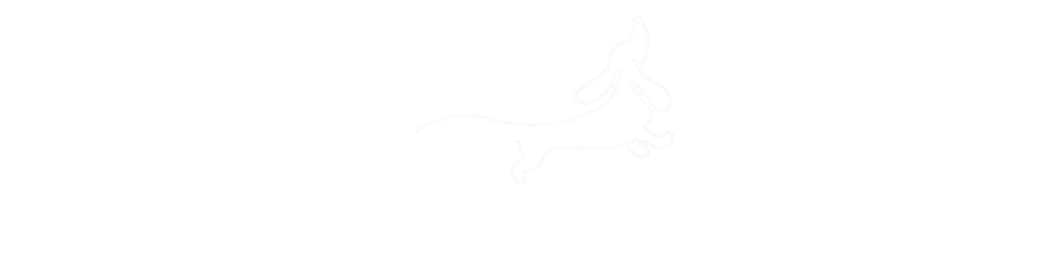 Floraling Pet Photography