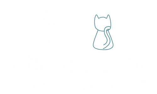 Chasing Tails Pet Sitting