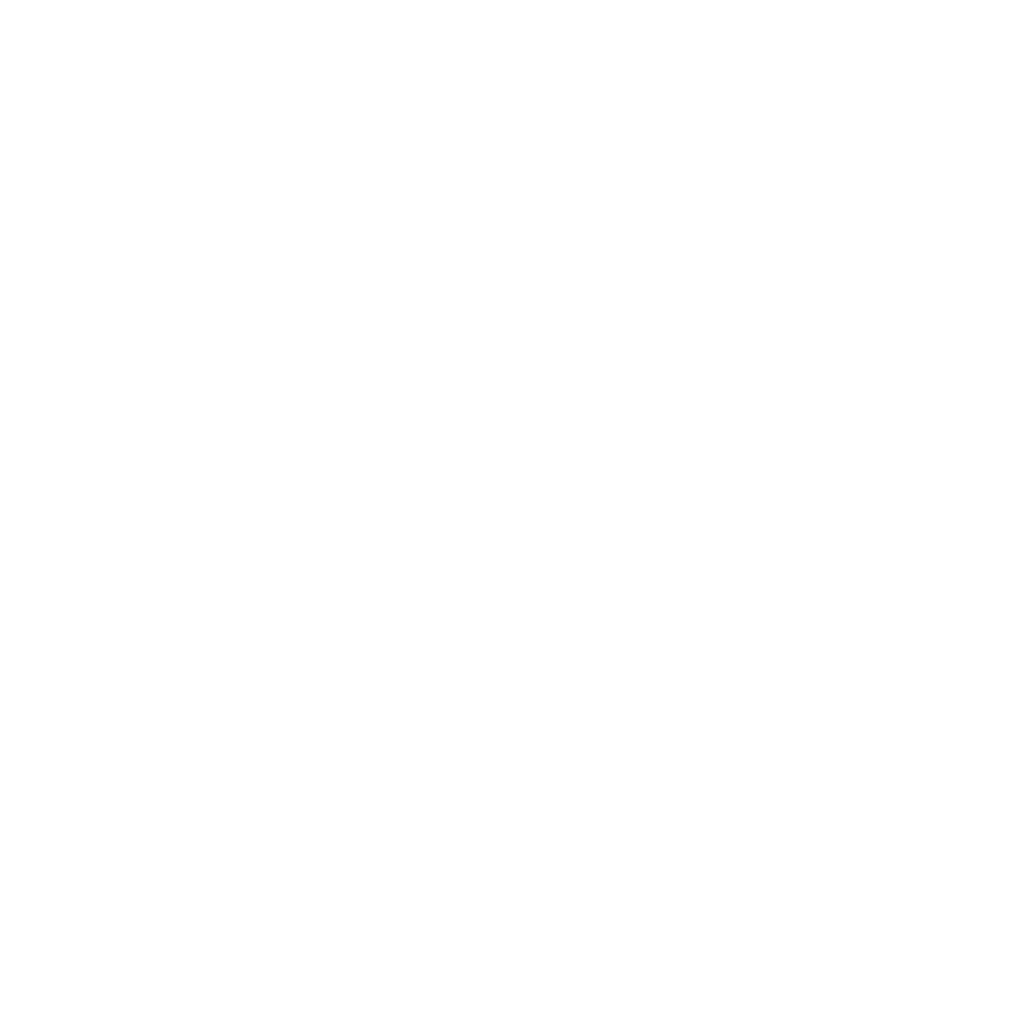 Chasing Tails Pet Sitting