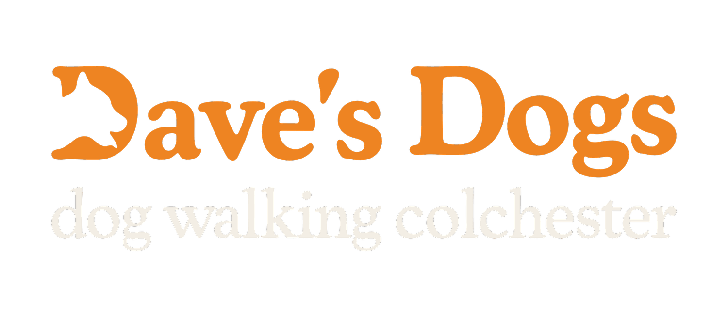Dave's Dogs - Dog Walking Services, Colchester
