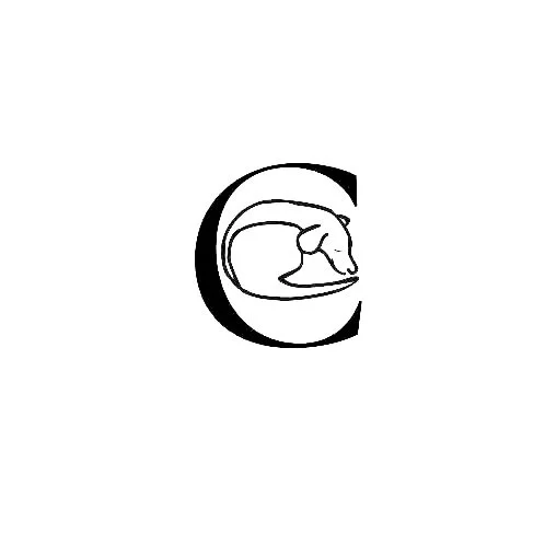 Connected Dog Training