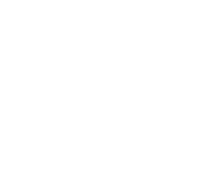 A Fitness