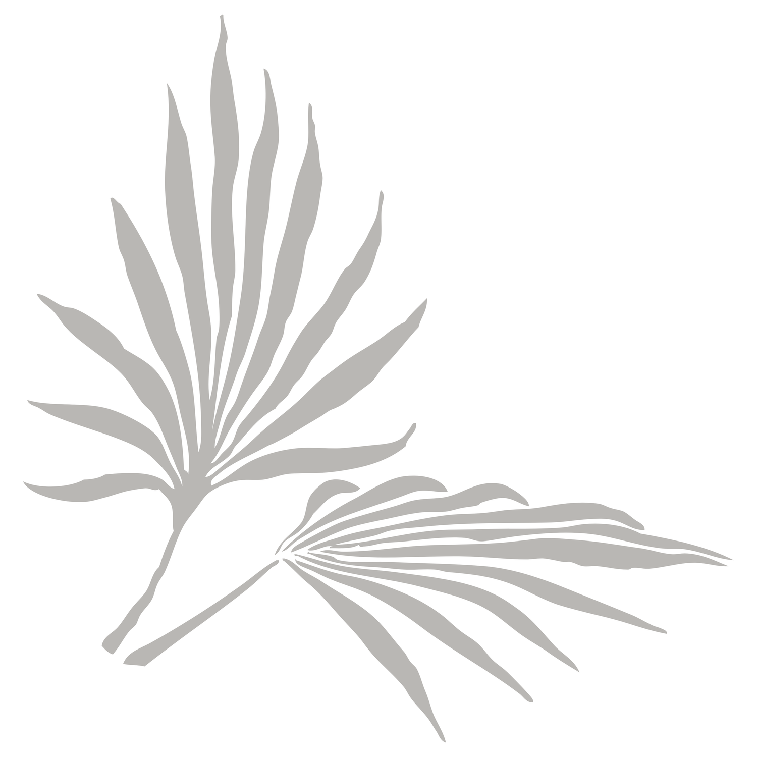 House of TROPI Design Studio