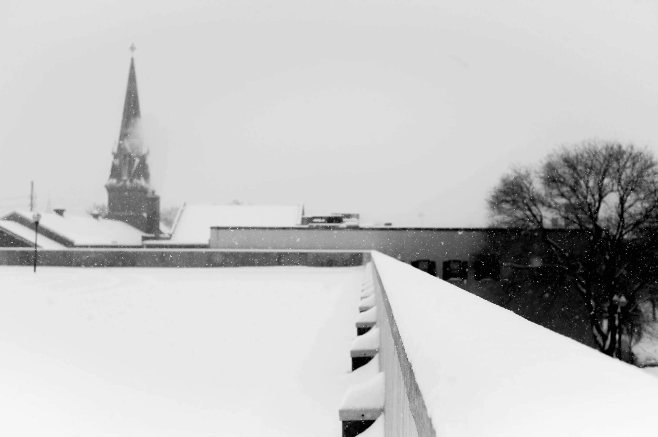 16140-img.jpg