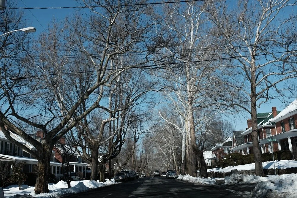 DSCF7496.jpg