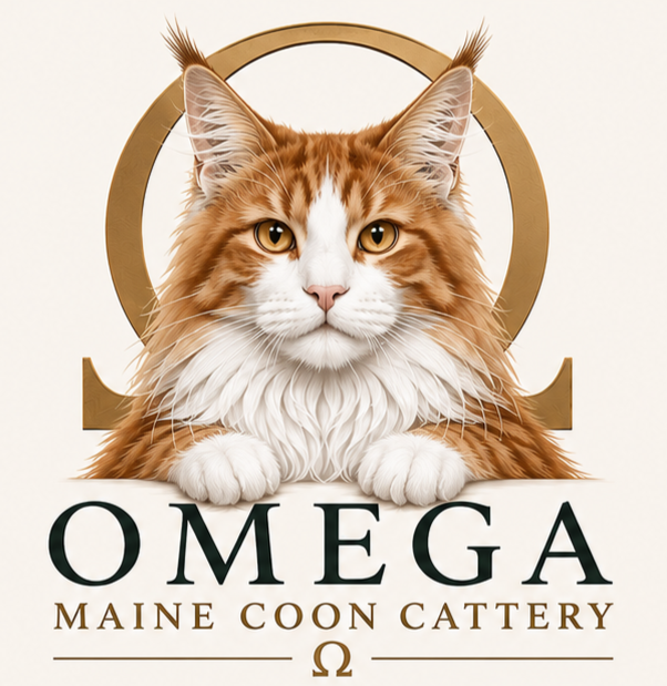 Omega Maine Coons