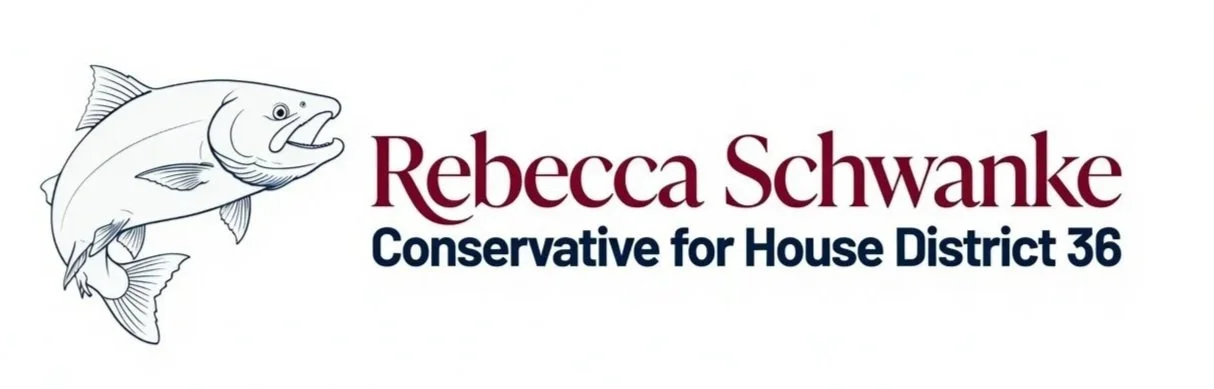 Schwanke for State House