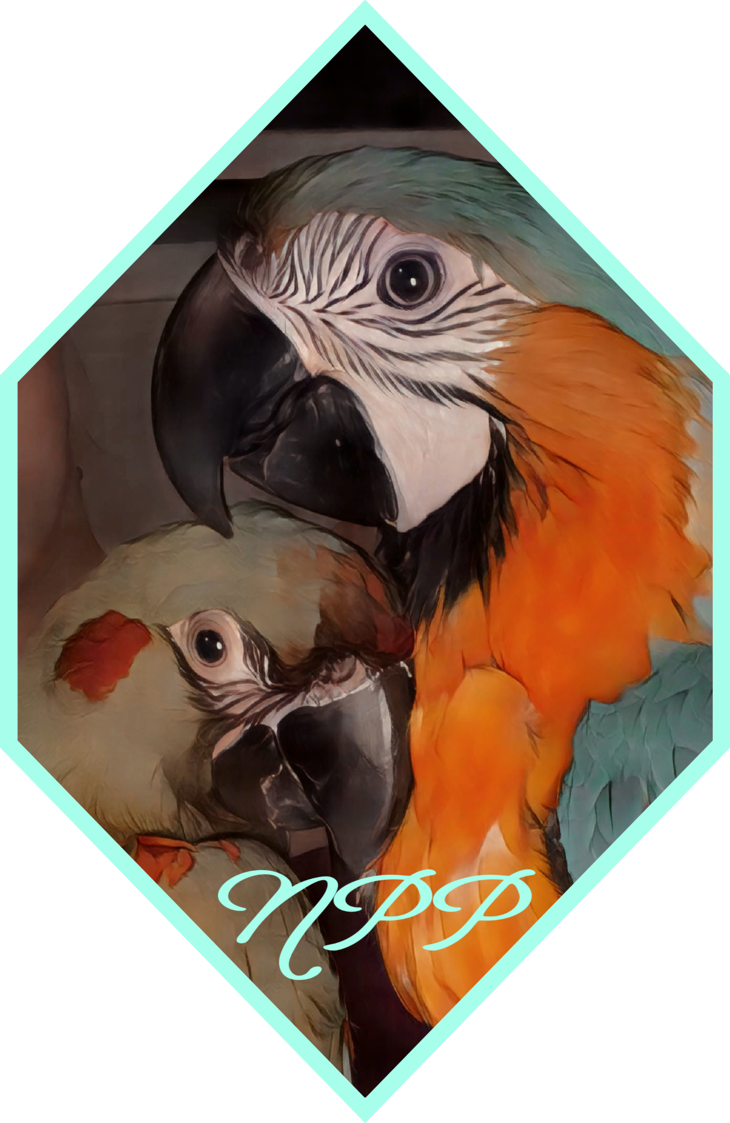 Naiche's Parrot Place