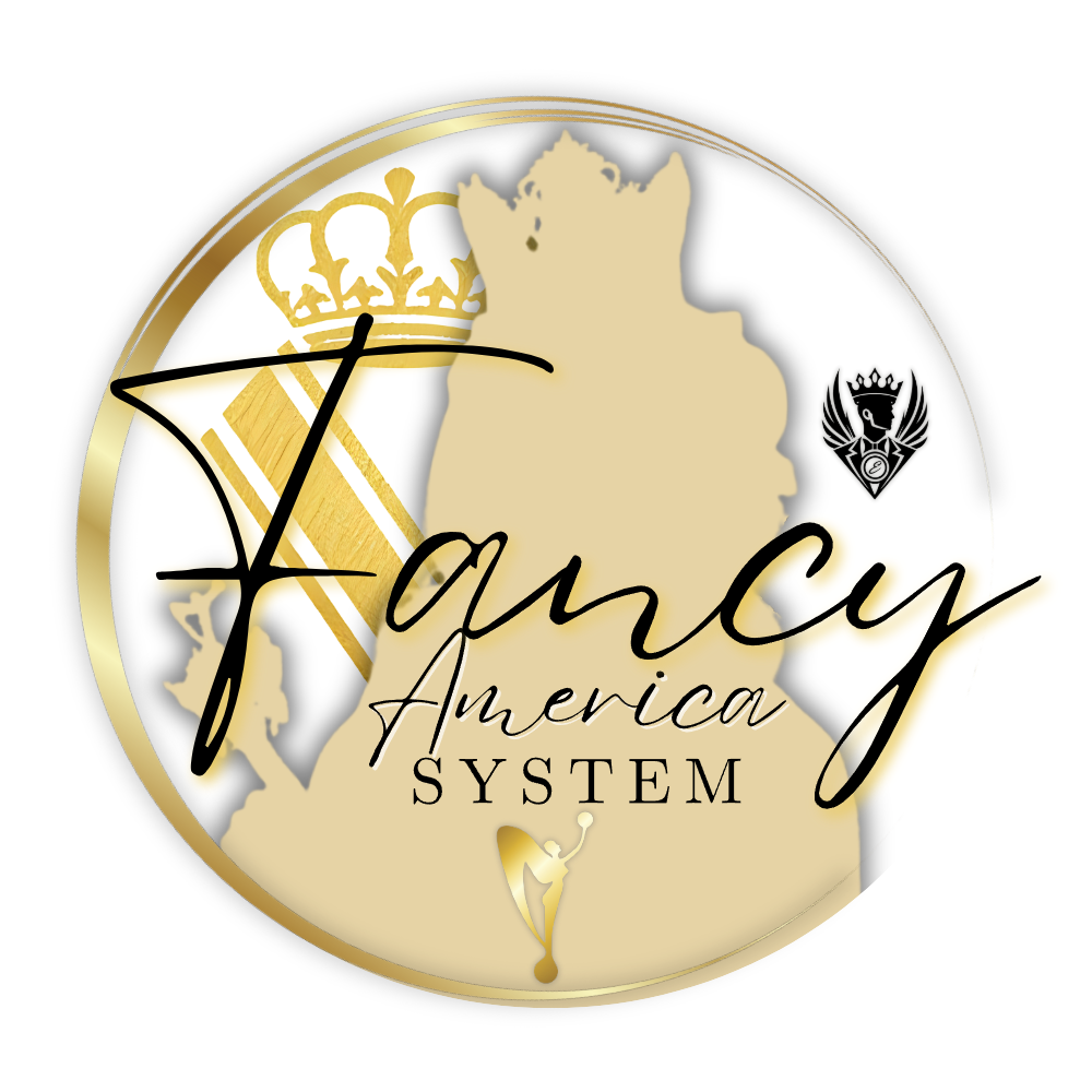 Fancy America Systems