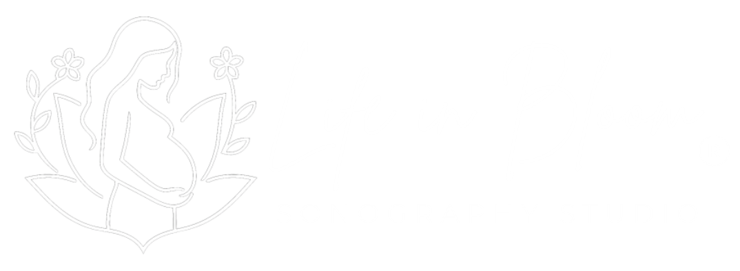 Life in Bloom Sonography