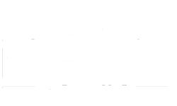 MESA: Your Trusted Partner in Professional Services