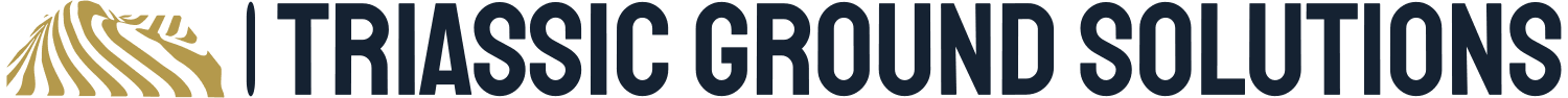 Triassic Ground Solutions