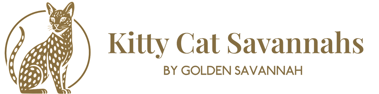 Golden Savannah Cats