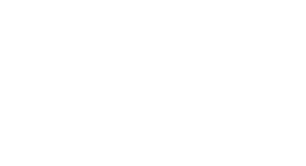 Co-pilot