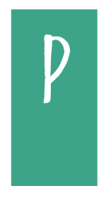 Provecho Consulting
