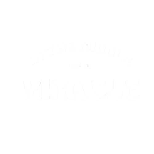 In the Middle  of a Miracle