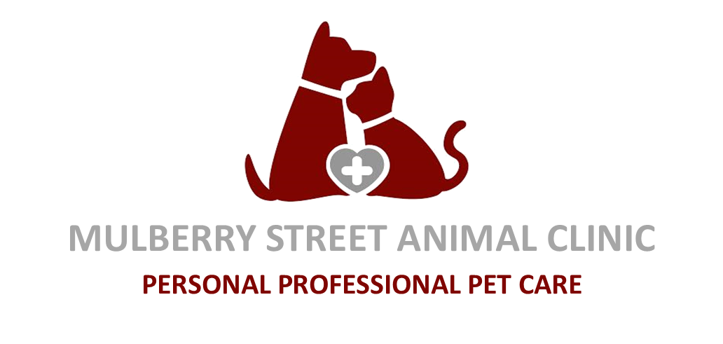 Mulberry Street Animal Clinic