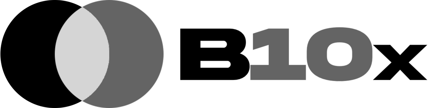 B10x - International Economic Development