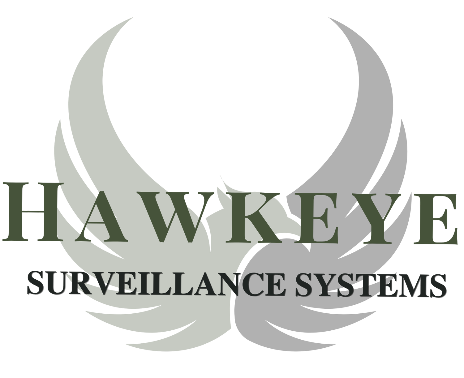 North Bay Surveillance and Alarms