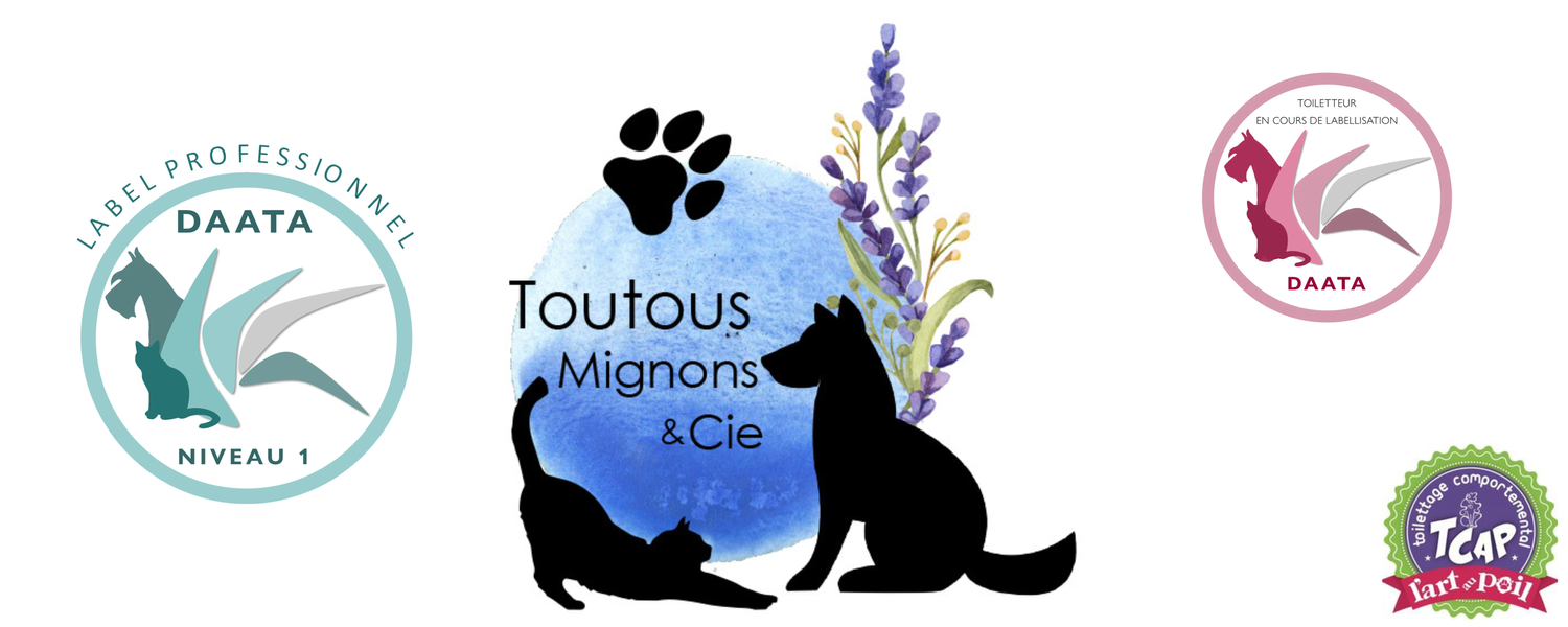 Toutous mignons et cie