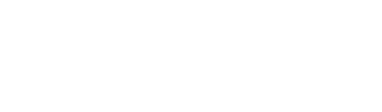 New Organising Conference