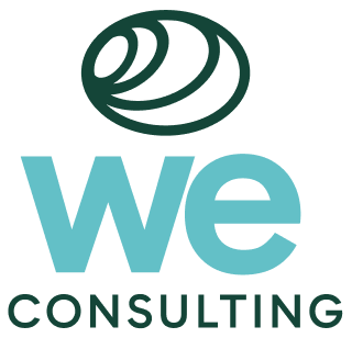 we consulting