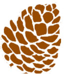 Pine Cone New World