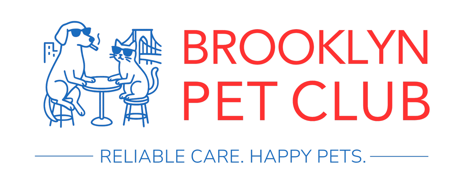 Brooklyn Pet Club