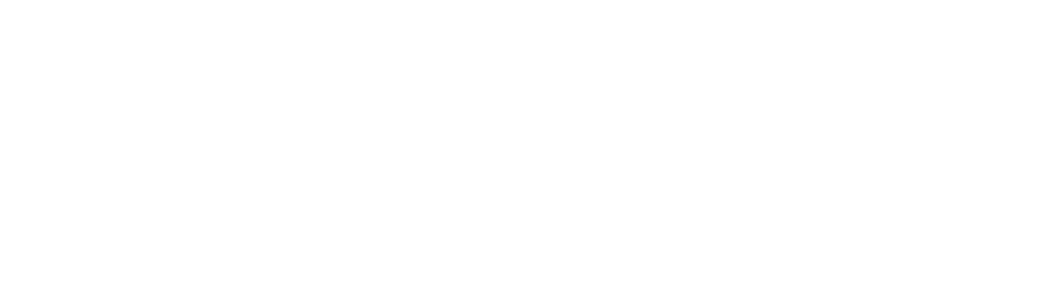 Frenzel Consulting LLC