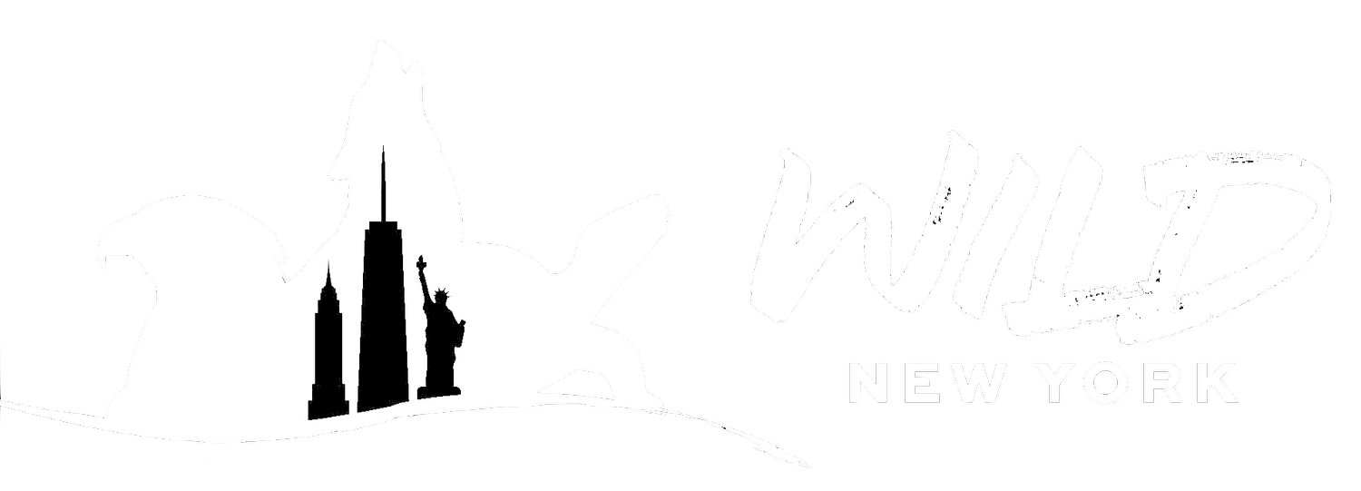 Wild New York