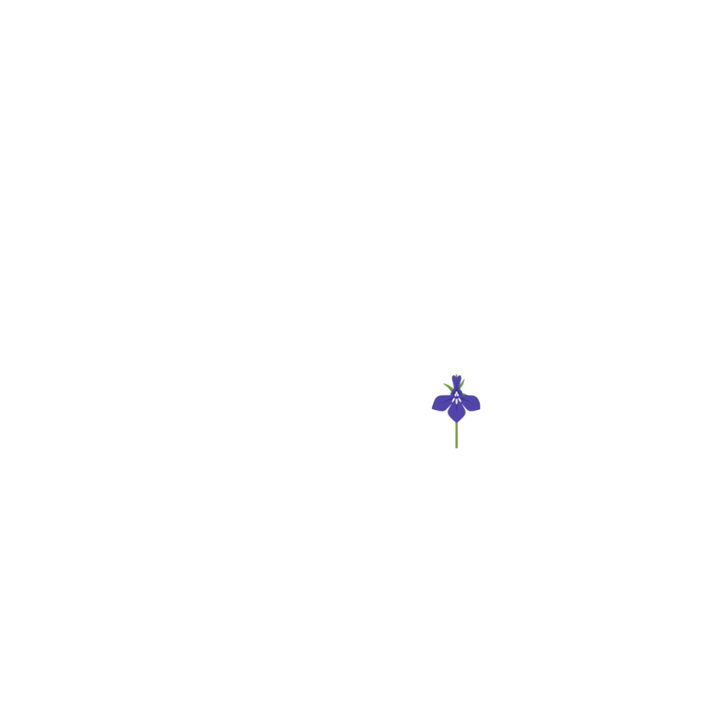 Savanna Lee (Video & Photo)