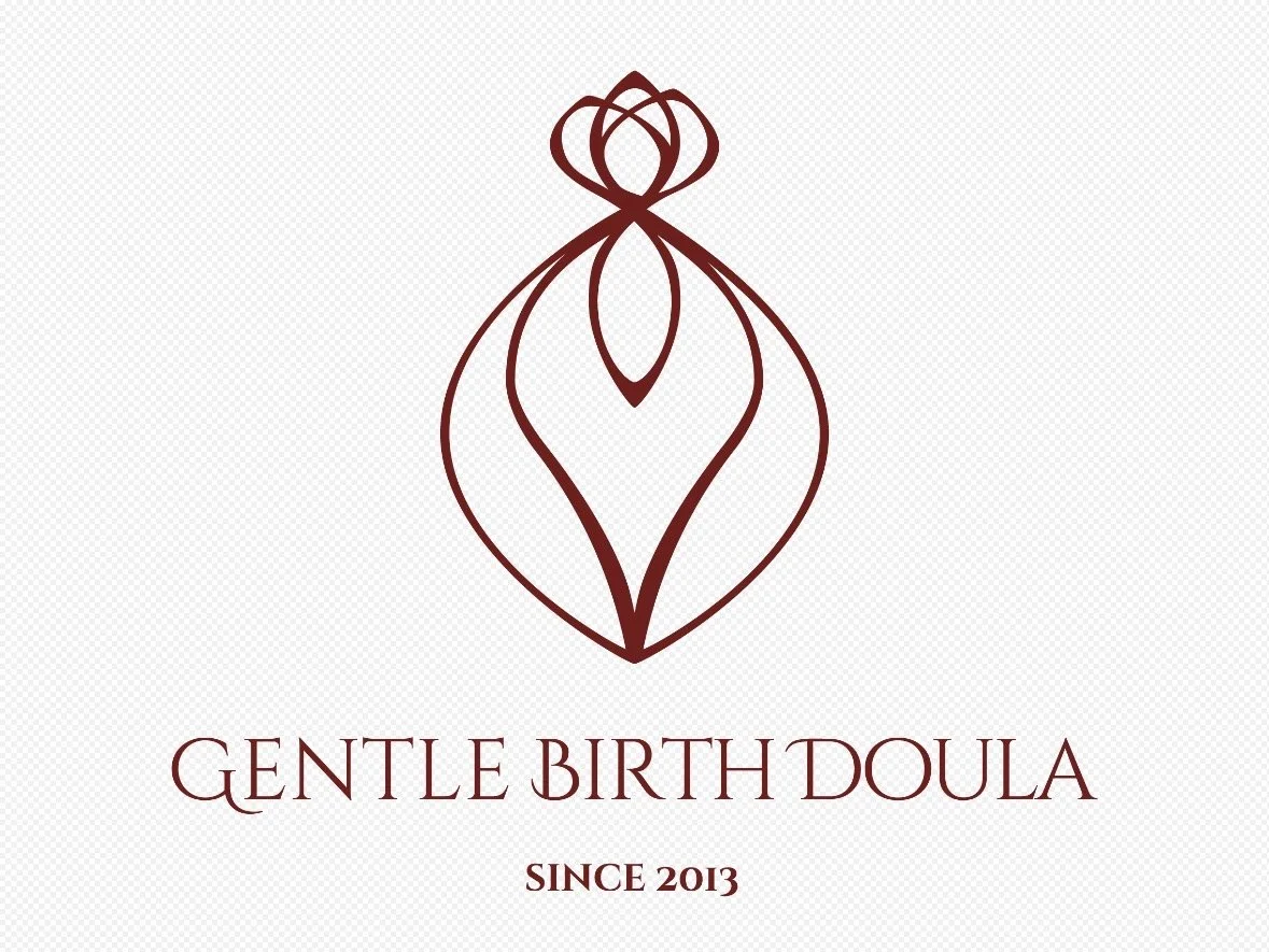 Brana Ninkov- RN, MSN, CLEC, Birth and Postpartum Doula in Los Angeles