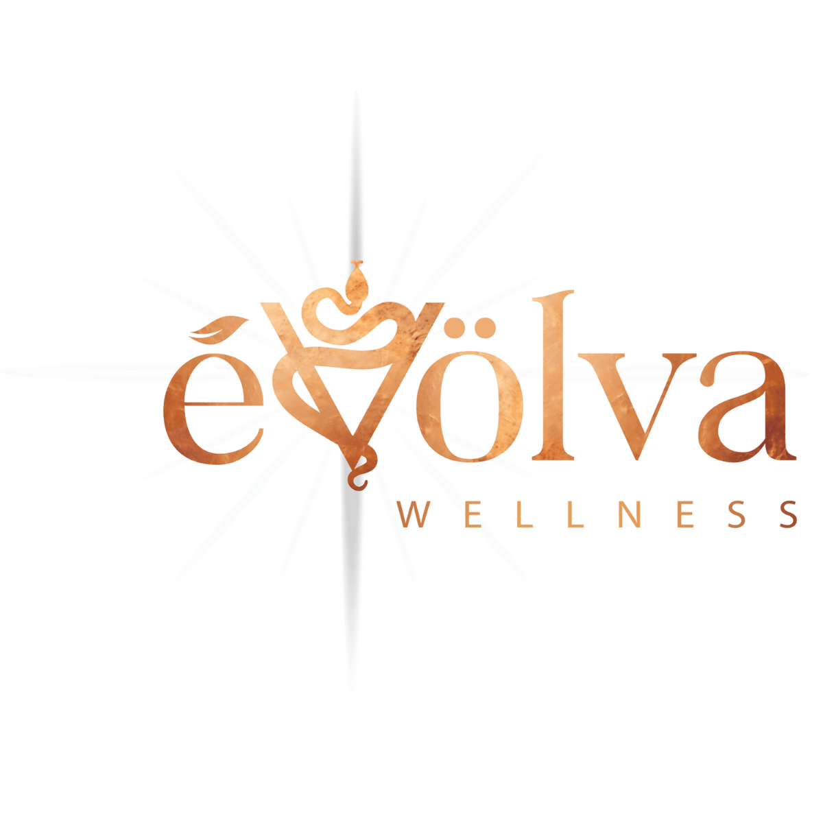 ėVölva Wellness