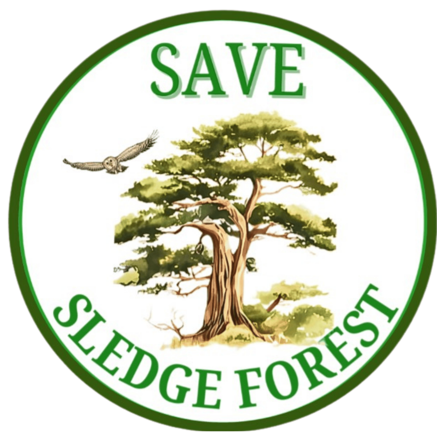 Protecting our last, large expanse of old growth forest