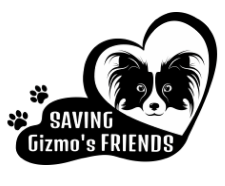 Saving Gizmo's Friends
