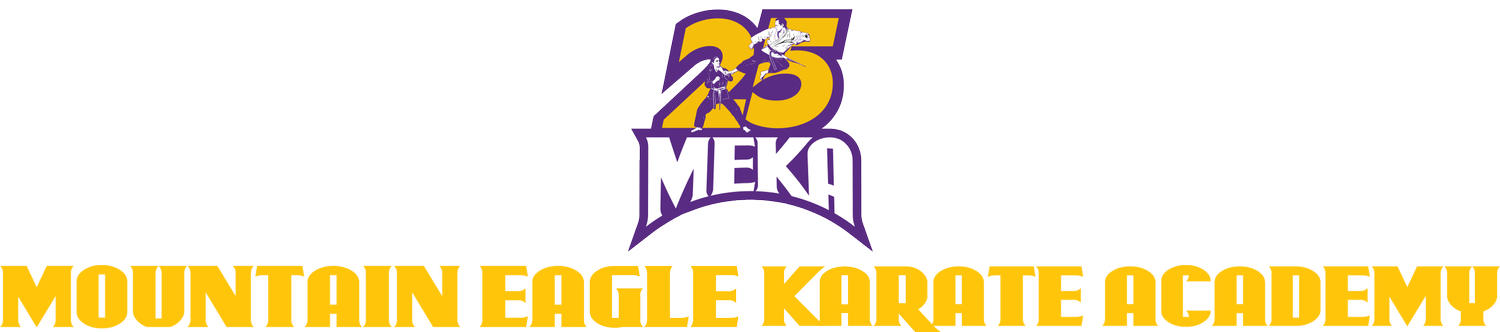 Mountain Eagle Karate Academy