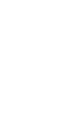 JS