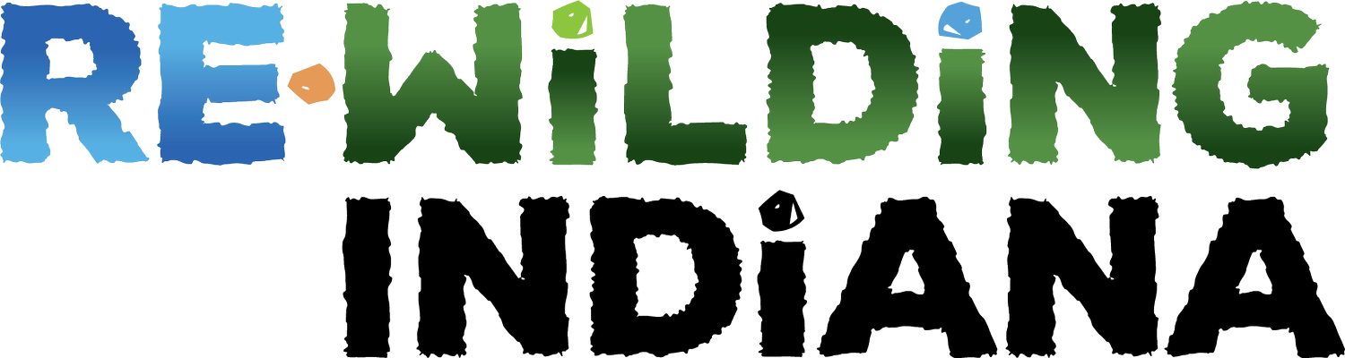 ReWilding Indiana