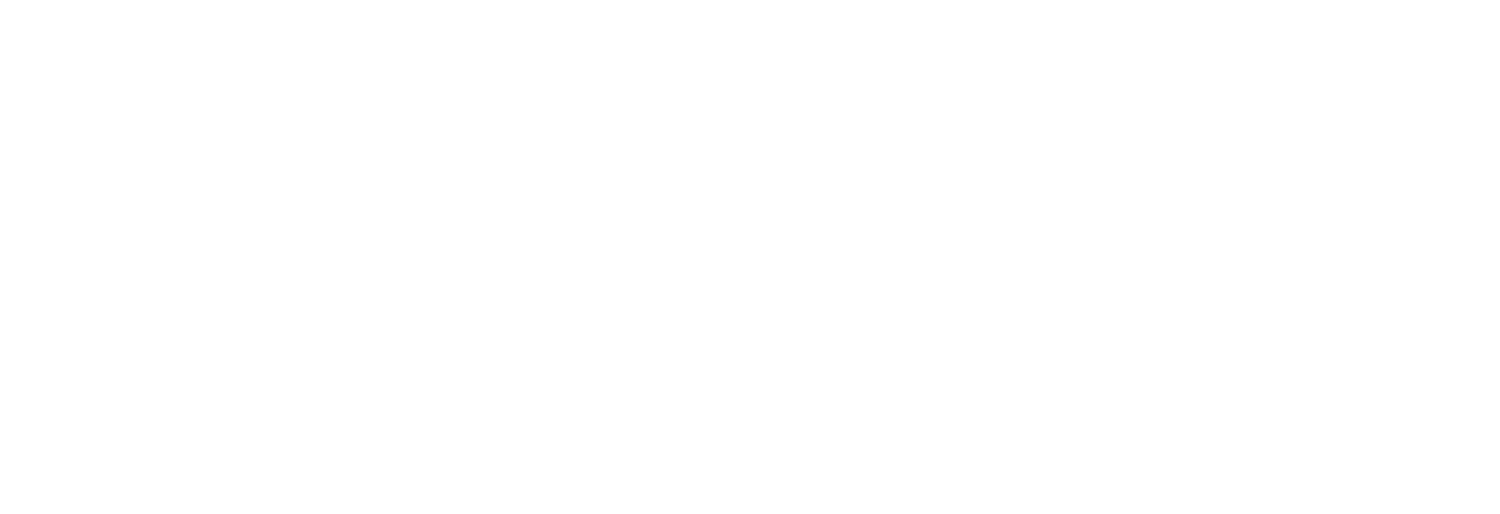 The Horizon Project 