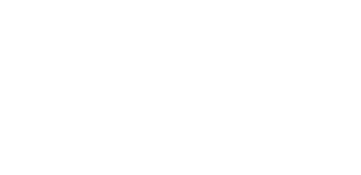 NWSL Boston Independent Supporters Association