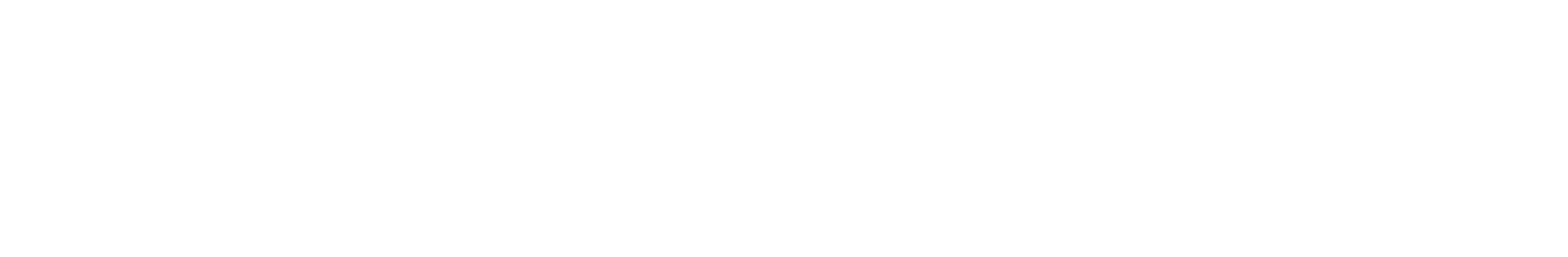 Live Wedding Portraits