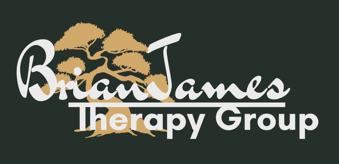 BrianJames Therapy