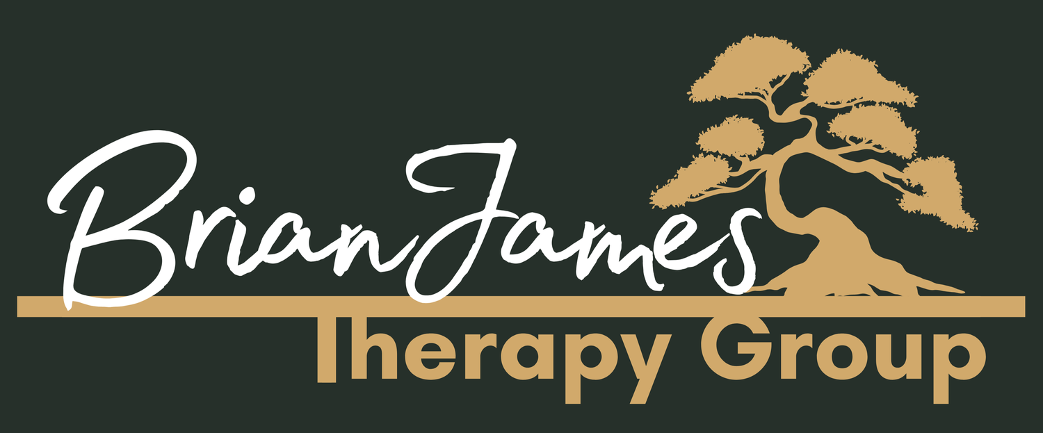BrianJames Therapy
